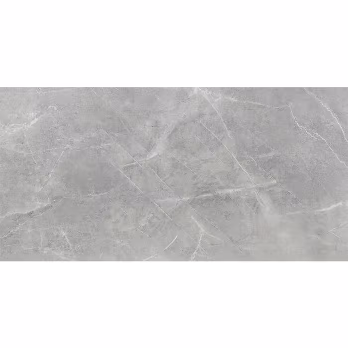 Gres Ambrosio Gris 119,7/59,7