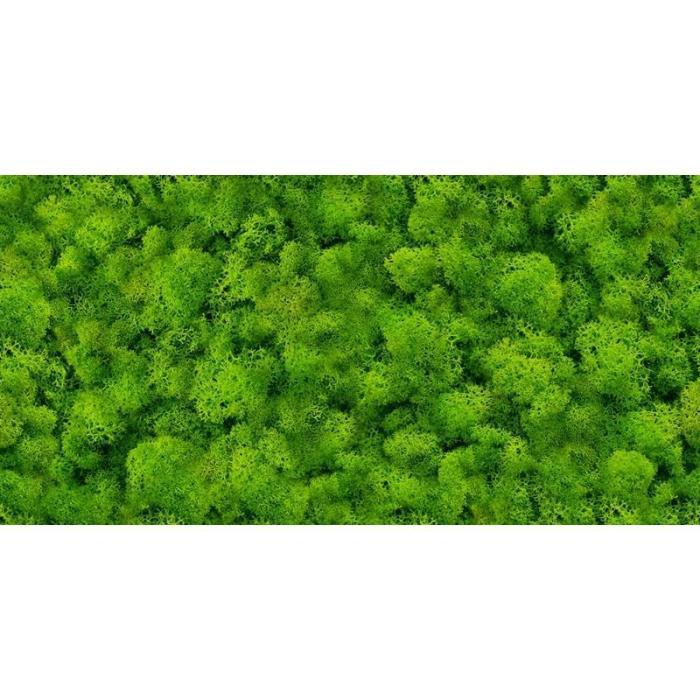 Glazura Pure Moss Glass 30/60