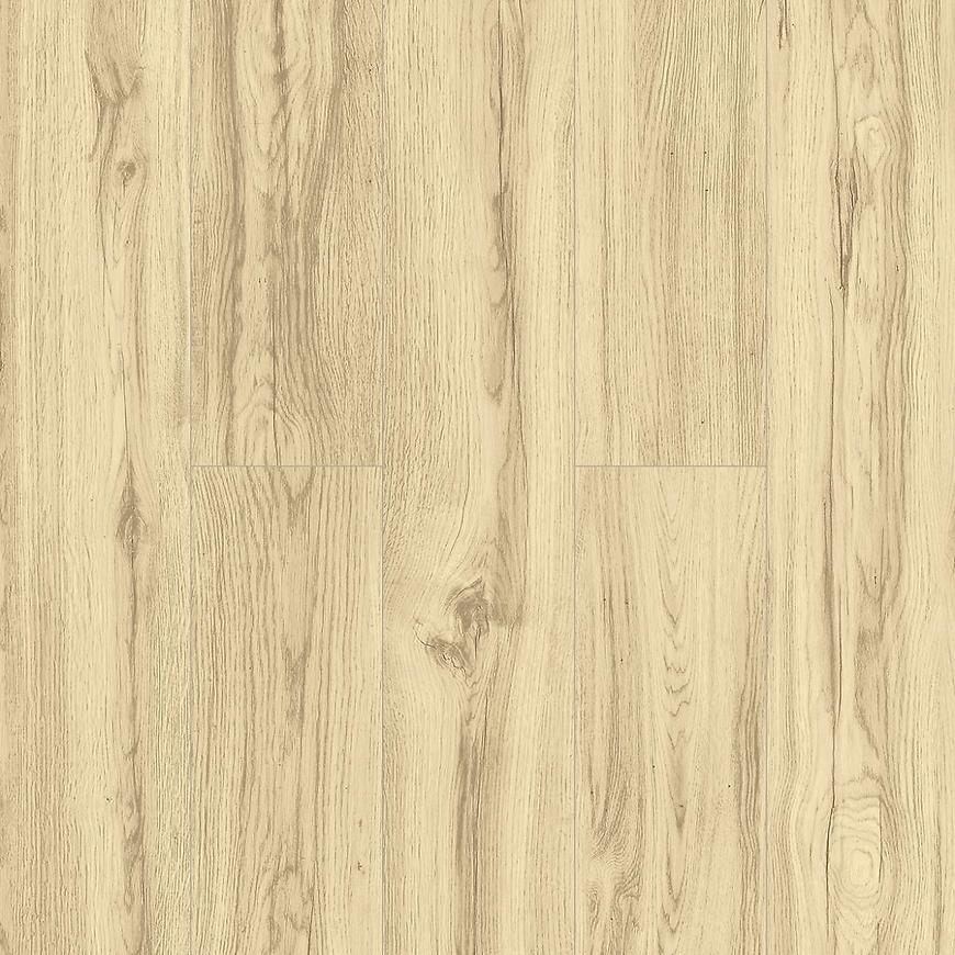 Panele podłogowe Dąb Pampeluna 8mm AC4 Exclusive 50514