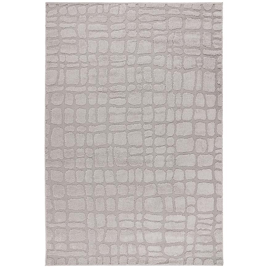 Dywan Lotus 1,2/1,7 LOT301 srebrny